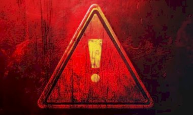 दुनियाभर में लाल रंग को क्यों माना जाता है खतरे का संकेत, जानिए इसके पीछे की खास वजह