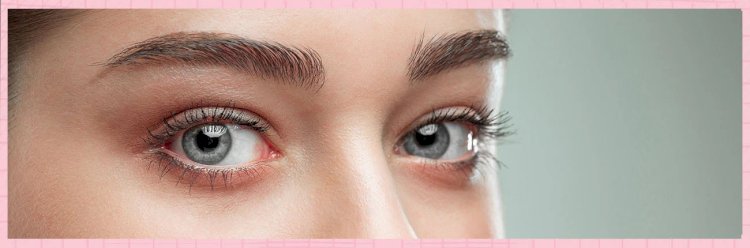 Health care tips: आंखों की रोशनी रहेगी बरकरार, अपनी डाइट में शामिल करें ये फूड्स