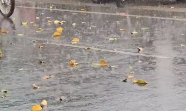 पंजाब में आज बारिश की संभावना, 13 जिलों में आंधी का अलर्ट