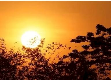 पंजाब में बारिश के आसार, तापमान 43 डिग्री के पार, जानें अपने शहर के मौसम का हाल