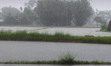 पंजाब में मौसम में बदलाव, आज इन जिलों में बारिश और आंधी का अलर्ट