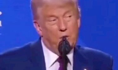 डोनाल्ड ट्रम्प ने सुप्रीम कोर्ट से जन्मजात नागरिकता समाप्त करने के प्रस्ताव पर सुनवाई करने का किया अनुरोध