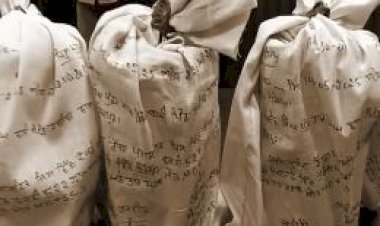 तरनतारन में पकड़ी गई सबसे बड़ी नशे की खेप की कीमत जानकर आप रह जाएंगे हैरान