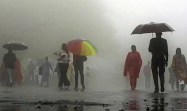 पंजाब के मौसम में बदलाव, इन जिलों में बारिश और तूफान का अलर्ट जारी