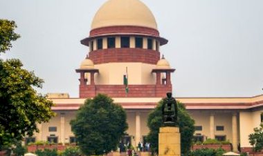 आवारा कुत्तों के मुद्दे को लेकर सुप्रीम कोर्ट फिर आया सामने, कही ये बड़ी बात