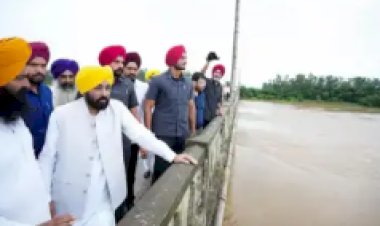 हर घर तक डाक्टर पहुंचाने का लक्ष्य, बाढ़ के बाद बीमारियों की रोकथाम ऐसे करेगी मान सरकार