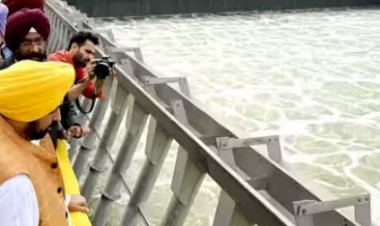 मुख्यमंत्री मान ने मोहाली में 15 मिलियन गैलन प्रतिदिन क्षमता वाले सीवेज ट्रीटमेंट प्लांट का किया उद्घाटन