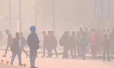 पंजाब में पराली जलाने के 933 नए मामले आए सामने