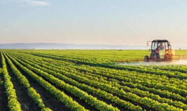 किसानों के लिए बड़ी खुशखबरी, सरकार ने किया बड़ा एलान