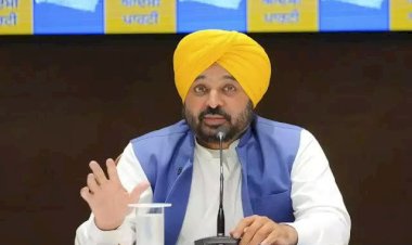 अब नौकरी माँगने नहीं, देने पर फोकस-CM मान की 'बिज़नेस क्लास' ने पंजाब को बनाया 'स्टार्टअप स्टेट'