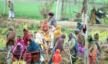 नरेगा में बड़ा बदलाव: अब अपने घर में काम करने पर भी मिलेगी पूरी मज़दूरी, CM मान ने खोला खज़ाना