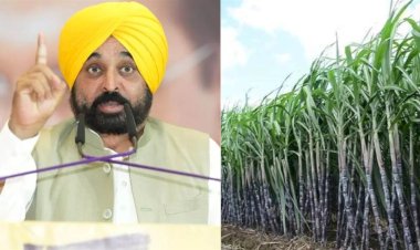 पंजाब सरकार ने गन्ना किसानों को दिया देश का सबसे महंगा दाम