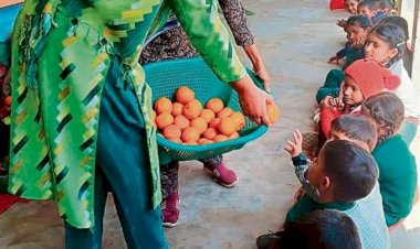 अब बच्चों को मिलेगा ऑर्गेनिक मिड-डे मील,पंजाब के 5,000 सरकारी स्कूलों में 'पौष्टिक बगीचे' बनाएगी मान सरकार