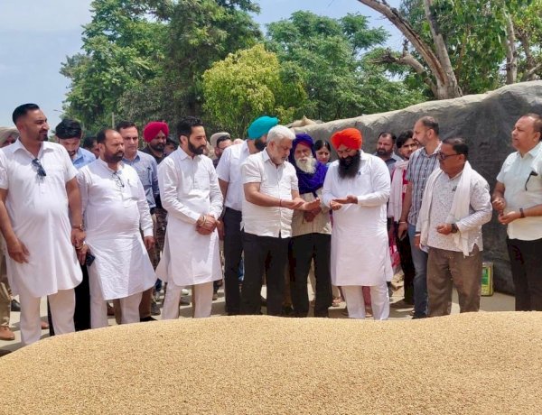 पंजाब की मंडियों में 28 लाख मीट्रिक टन गेहूं की आमद, 24 लाख मीट्रिक टन से अधिक की खरीद : लाल चंद कटारूचक्क