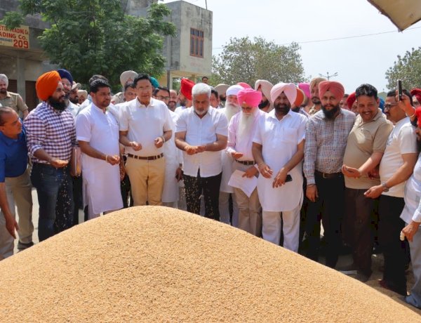 खाद्य एवं नागरिक आपूर्ति मंत्री लाल चंद कटारूचक्क ने भगतांवाला अनाज मंडी में चल रही गेहूं खरीद का लिया जायजा
