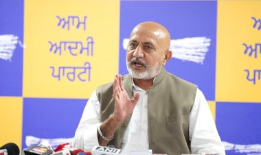 मान सरकार ने पंजाब पुलिस को गैंगस्टरों पर शिकंजा कसने के लिए किया और मजबूत:बलतेज पन्नू