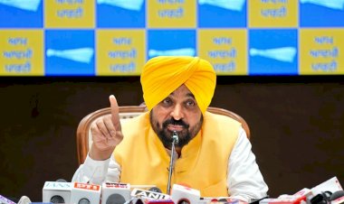 पंजाब म्यूनिसिपल चुनावों में आम आदमी पार्टी की ऐतिहासिक जीत