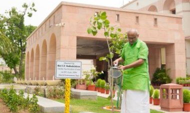 उपराष्ट्रपति सीपी राधाकृष्णन ने विश्व पर्यावरण दिवस पर सभी से 'एक पेड़ मां के नाम' अभियान में शामिल होने की अपील की
